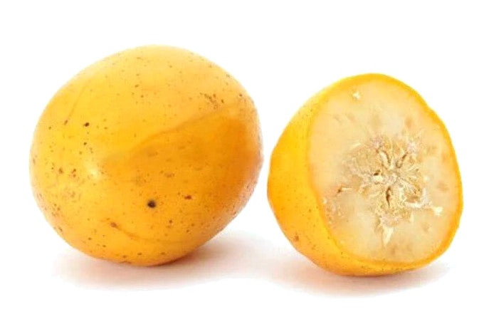 Marula Oil – Dr Adorable Inc